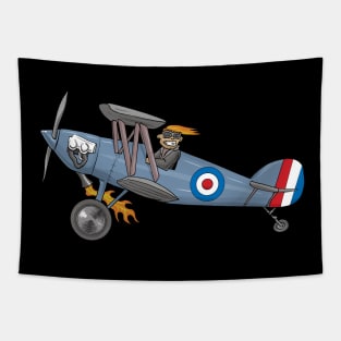 Bi-Plane Pilot Tapestry