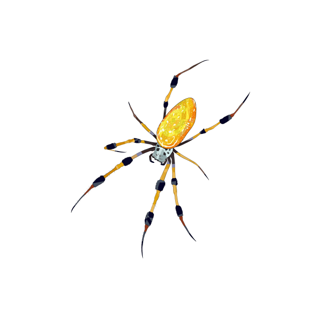 Lineless Golden Orb Weaver by Blacklightco