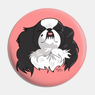 Japanese Chin Pin