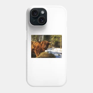 Scottish Highland Cattle Cow 2344 Phone Case