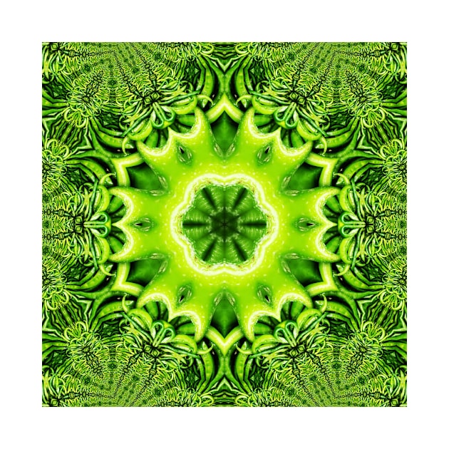 Vegetarian Kaleidoscope, Fruit Fantasy Patterns. 3 Green Peppers by mister-john