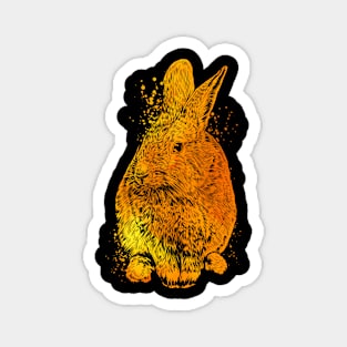 Colorful rabbit Magnet