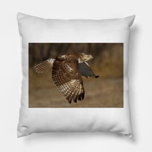 Red-tailed Hawk in Flight Pillow