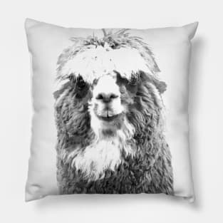 Black and White Alpaca Pillow