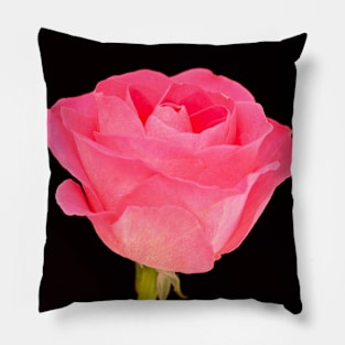 Single Pink Rose Pillow