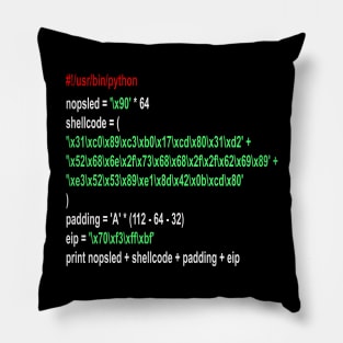 Cyber security - Hacker - Buffer Overflow Shellcode Pillow