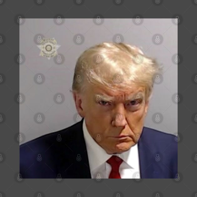 Official DONALD TRUMP MUGSHOT - GREATEST PHOTO EVER TAKEN by colormecolorado