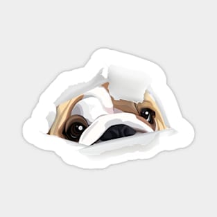 Cute Bulldog Hiding Design Magnet