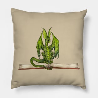 The Scholar Pillow