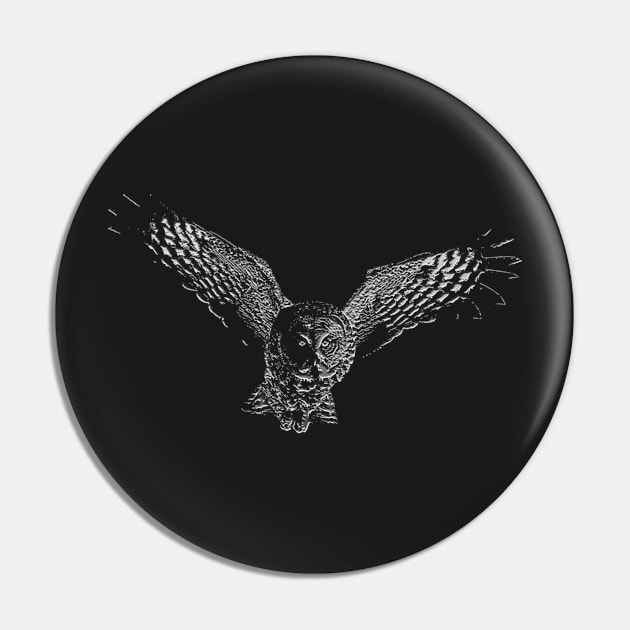 flying owl Pin by hottehue