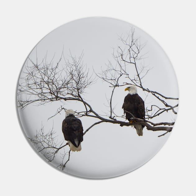 Eagles Pin by Drgnfly4free