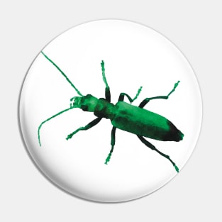 Green Beetle Wharf Borer Pin