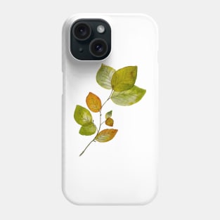 Beech leaves Phone Case