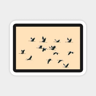 Fifteen Common Cranes Flying on Peach Background Magnet