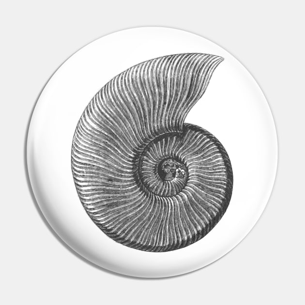 Ammonite Fossil Pin by wanungara