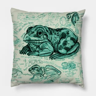 Popfrog Anatomy Study Pillow