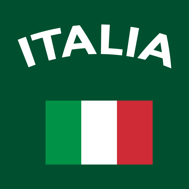 Italia Italy Flag by vladocar