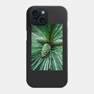 Pine Cones Phone Case