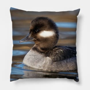 Female Bufflehead Duck at the Lake Pillow