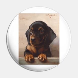 Dachshund Puppy (circa 1900) by Carl Reichert Pin