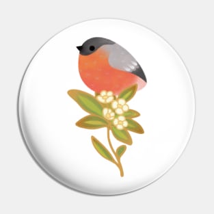 Eurasian bullfinch 1 Pin