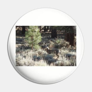 Deer, Wildlife, Mule Deer, Buck, Nature, Gifts Pin