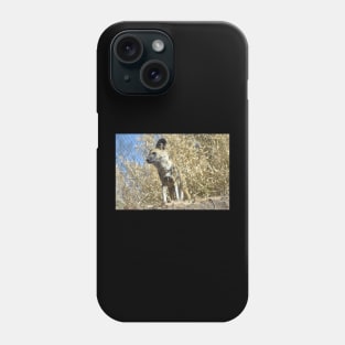 African Wild Dog Phone Case