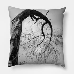 Dead bent and crooked tree in black and white Pillow