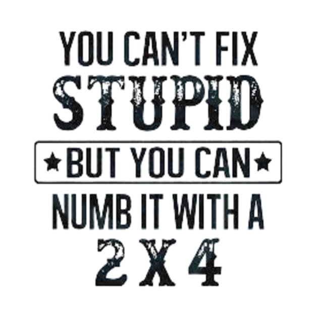 You Can't Fix Stupid But You Can Numb It With A 2x4 by Trending Tees