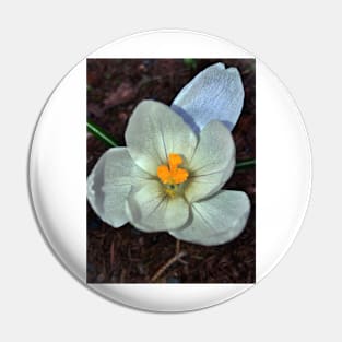 White Crocus - Early Spring - Flower Pin