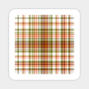 Multi Color Plaids , Tartans , Check Magnet