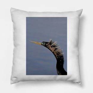 Anhinga - Florda Pillow