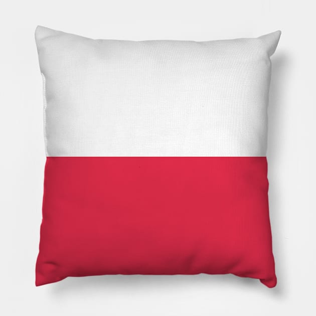 Poland Pillow by Wickedcartoons