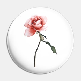 Pink rose watercolor Pin