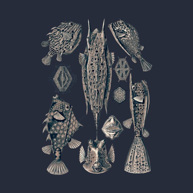 Ernst Haeckel Ostraciontes Fish Lavander Grey by Scientistudio