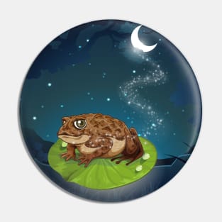 Toad Under The Moon Pin