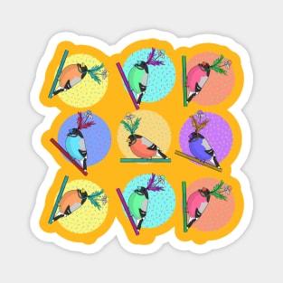 Birds of a feather flock together illustration with colorful pattern of woodland birds in silly daisy hats Magnet