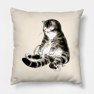 Relax cat Pillow