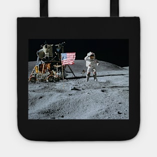 Apollo 16 - 18339 Tote