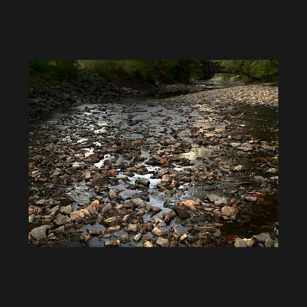 Photo of River Rock with Bridge in Background - Tomahawk Creek Overland Park KS by Zen Goat 