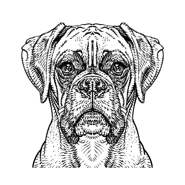 BOXER in black & white by lautir