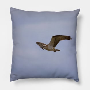 Osprey_VOA6827 Pillow