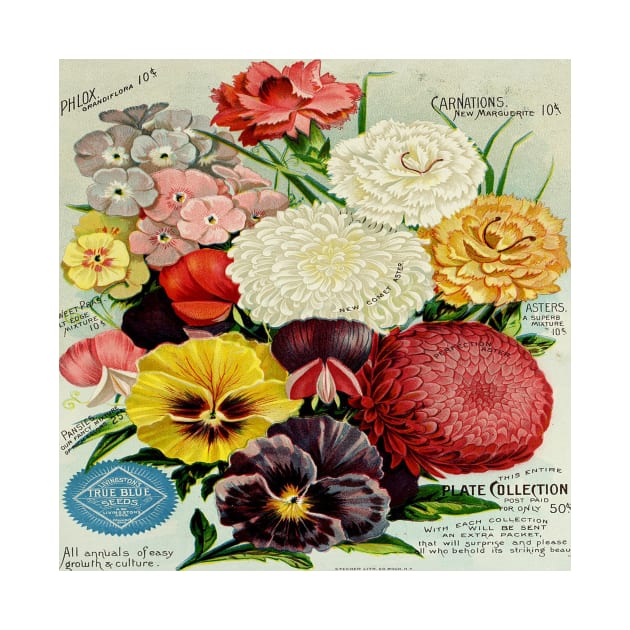 A. W. Livingston's Sons vintage flowers by RoseAesthetic