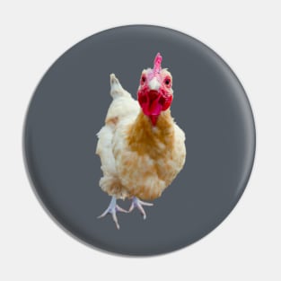 Curious Hen Pin