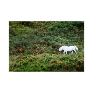 A white horse amongst green and brown ferns, Highlands of Scotland T-Shirt