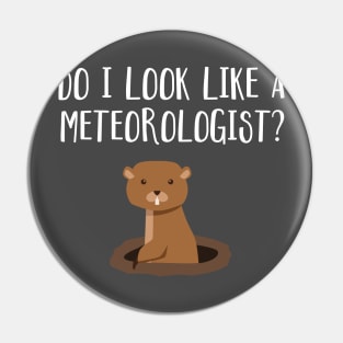 Do I Look Like A Meteorologist? Groundhog Day Funny Pin