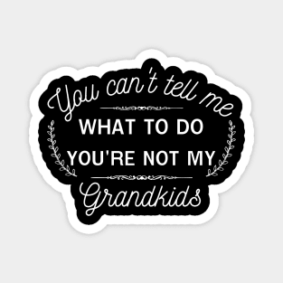 You can't tell me what to do, you're not my grandkids, grandchildren,granddaughter Magnet