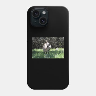 Gemsbok Phone Case