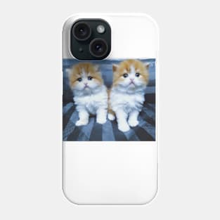 The twin cute cats Phone Case