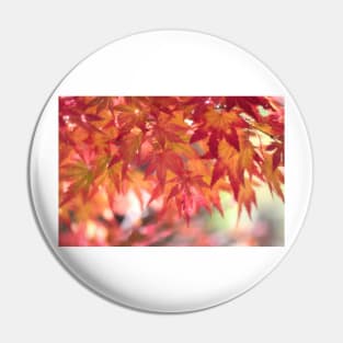 Curtain Of Autumn Leaves Pin